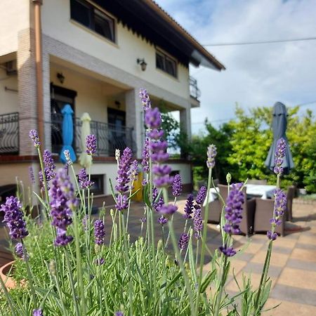 Apartman Nada Ozalj Zewnętrze zdjęcie